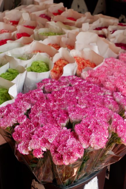 A vibrant bouquet of pink carnations wrapped in clear plastic, with a glossy, textured surface and fresh green stems visible at the base. Behind the bouquet, there are various floral arrangements and 
