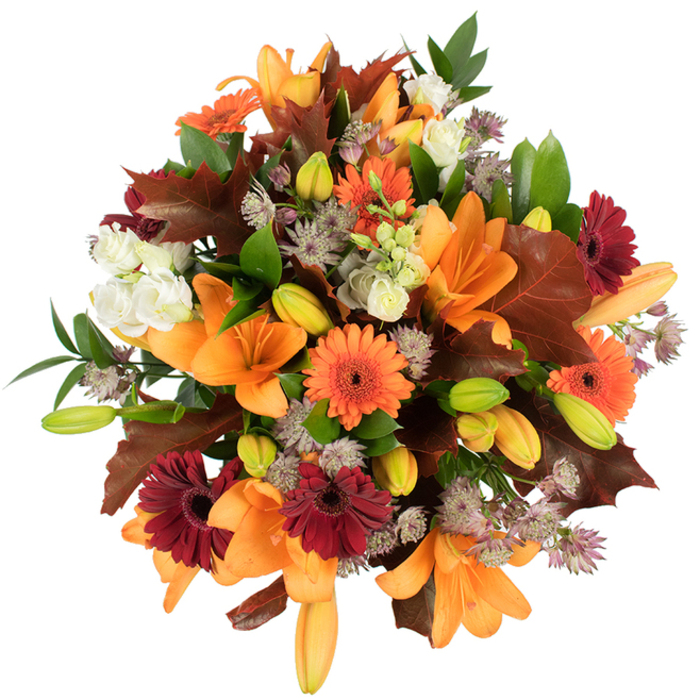 A richly textured, overhead shot of a compact autumn bouquet that reads like a small harvest festival. At the centre, several large, fully opened orange Asiatic lilies present their graceful trumpet forms, surrounded by many tightly furled lily buds in shades of fresh green and soft orange that promise staged unfolding. Interspersed are bright pumpkin-orange Gerbera daisies and velvety deep burgundy Gerberas whose circular rays and dark centres add cheerful contrast and visual rhythm. Creamy white Lisianthus or mini rose clusters offer soft ruffled relief against the bolder hues, and airy sprays of muted purple Astrantia contribute intricate, star-shaped detail and a whisper-light texture. Significant to the seasonal story are broad, deeply lobed leaves in warm reddish-brown tones-oak-like in shape-placed as if gathered on a crisp walk through local parks; these are offset by lively green leaves and slender stems that give the bouquet structure and a garden-fresh feel. The bouquet is photographed on a spotless white background with bright, directional light that lifts colour saturation and reveals petal veins and subtle sheen. It feels abundant, freshly made, and thoughtfully composed-well suited for autumn home decor, a Thanksgiving centrepiece, or as a heartfelt seasonal gift. Prepared by Barnet Florists with careful attention to texture and balance, this arrangement suits delivery across the Barnets, from High Barnet to Oakleigh Park, and carries the smell of late-season blooms and the tactile pleasure of layered petals and crisp leaves.